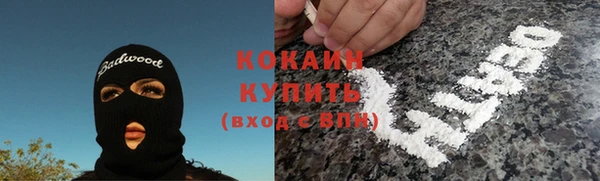 соль ск Богородск