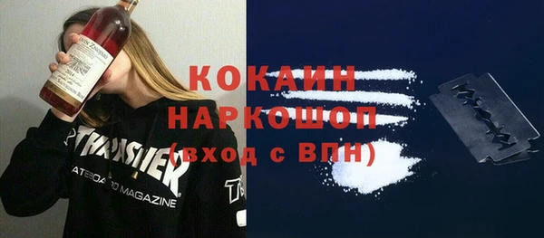 спайс Богданович