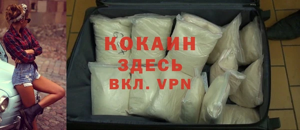 спайс Богданович
