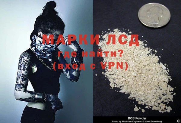 спайс Богданович