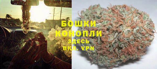спайс Богданович