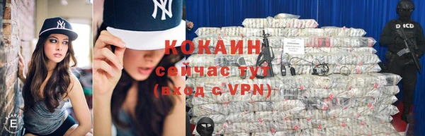 спайс Богданович