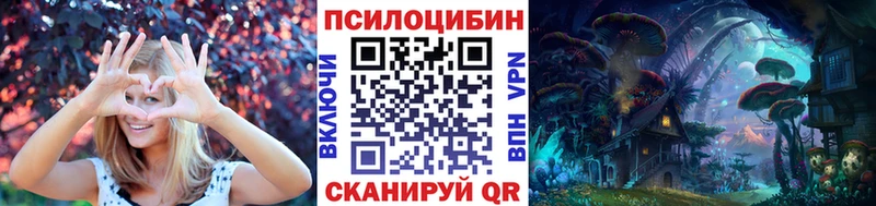 гидра ТОР  Белоозёрский  Галлюциногенные грибы мицелий 